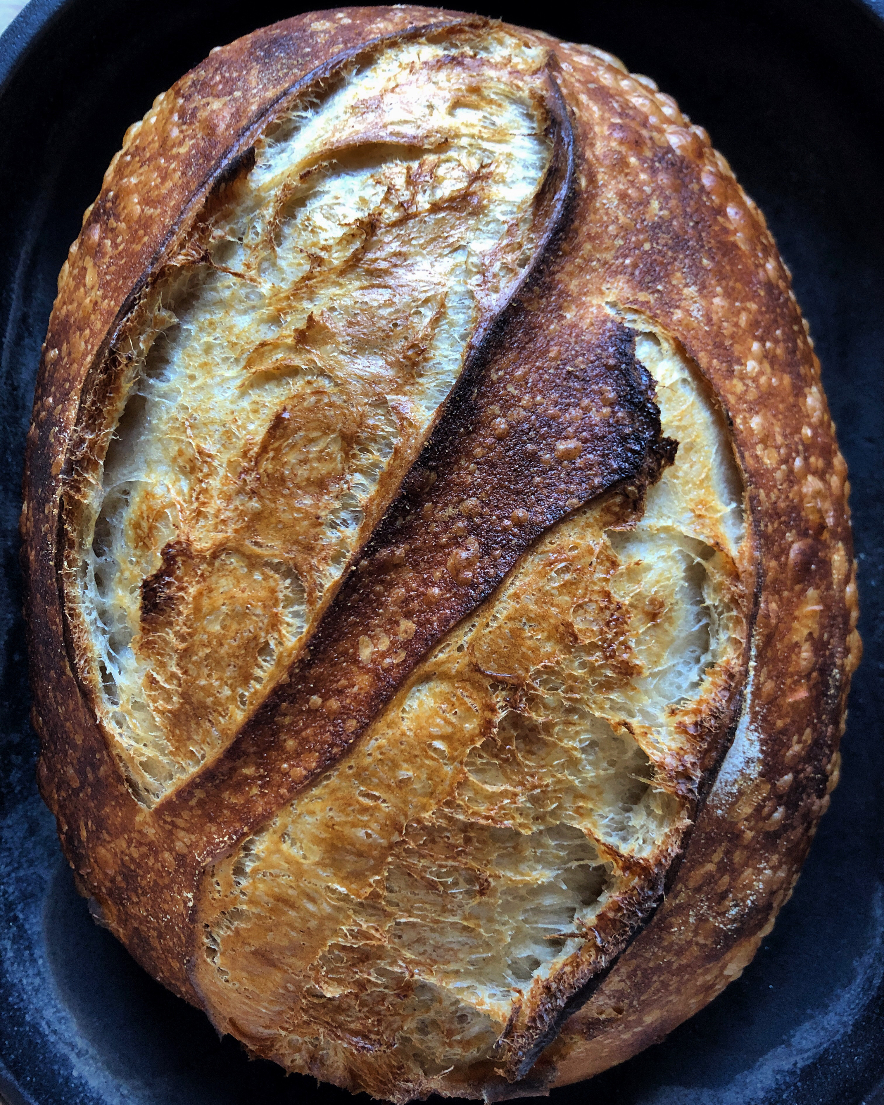 The Best Sourdough Bread | The Brown Bakery - A Sourdough Journey